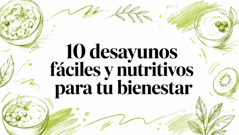 10 desayunos fáciles y nutritivos para tu bienestar - Oso Welness