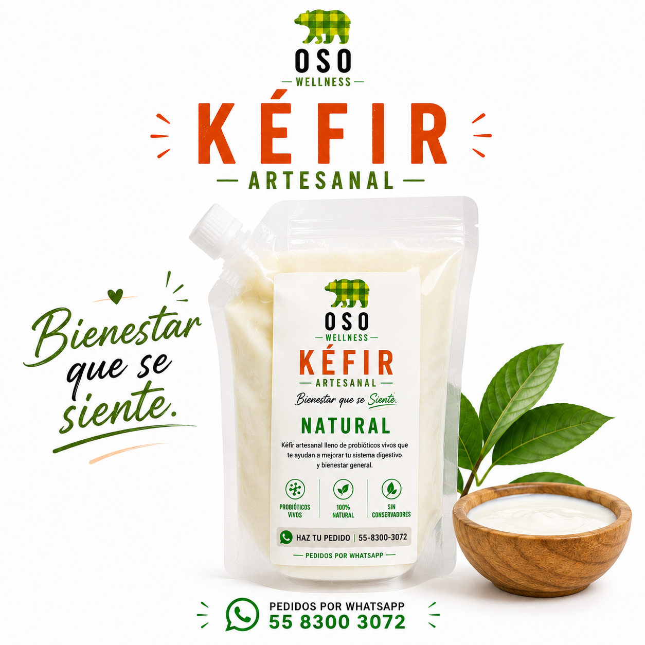 Kefir Artesanal natural