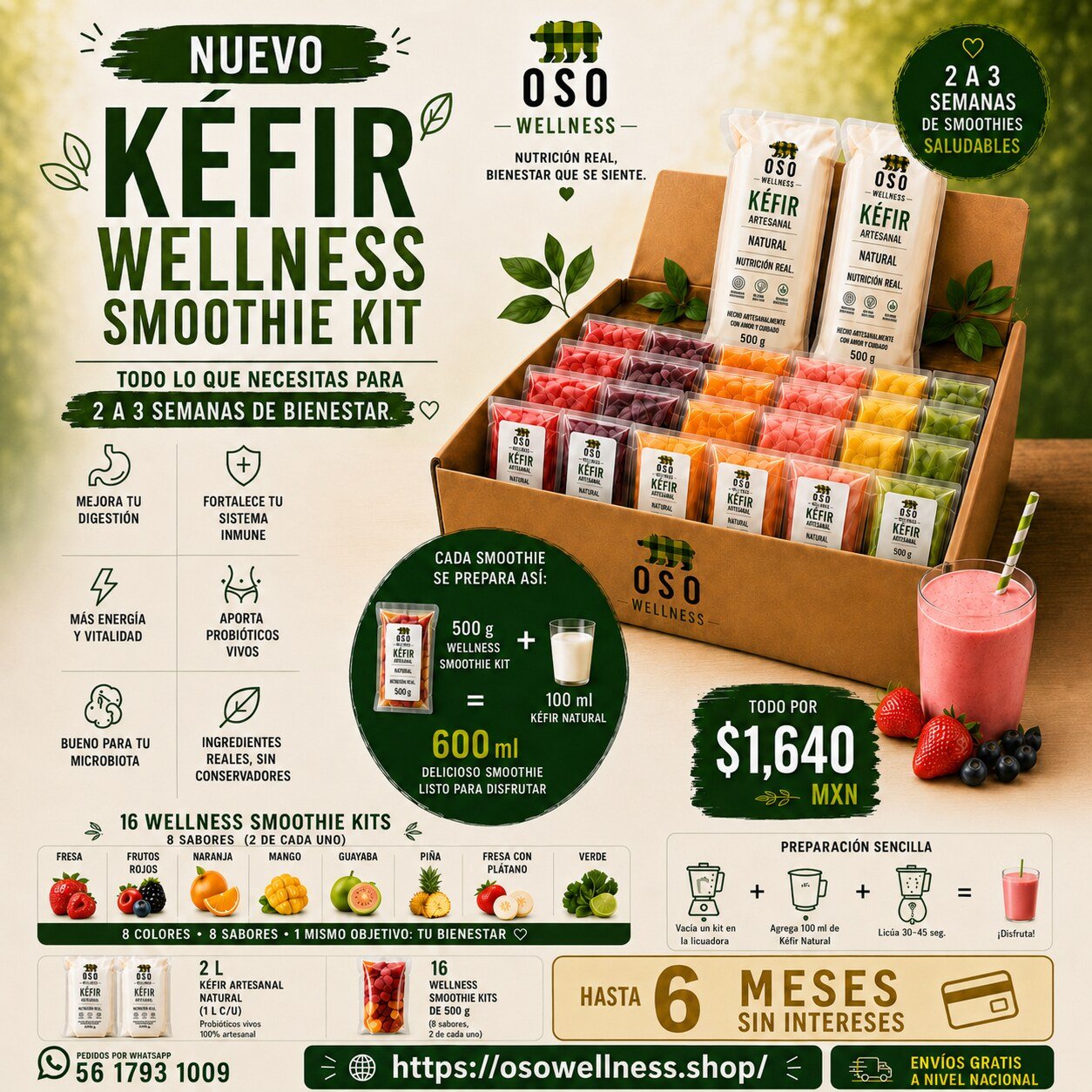 Paquete Kéfir Wellness Smoothie Kit con 16 kits